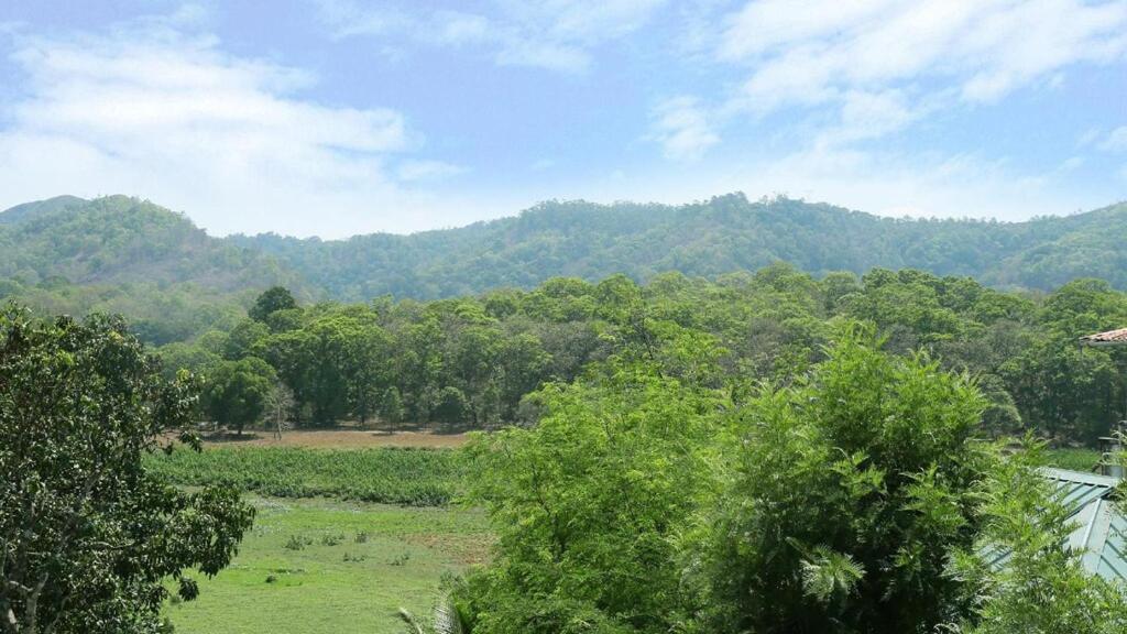 Hill Green Home Stay تيكَدِيْ المظهر الخارجي الصورة